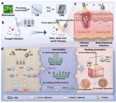 黃光超聲技術(shù) 真菌無蹤，腳氣克星的科研實(shí)力新突破