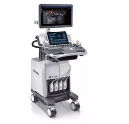 國內(nèi)超聲影像技術(shù)領(lǐng)域的十大技術(shù)開發(fā)金剛